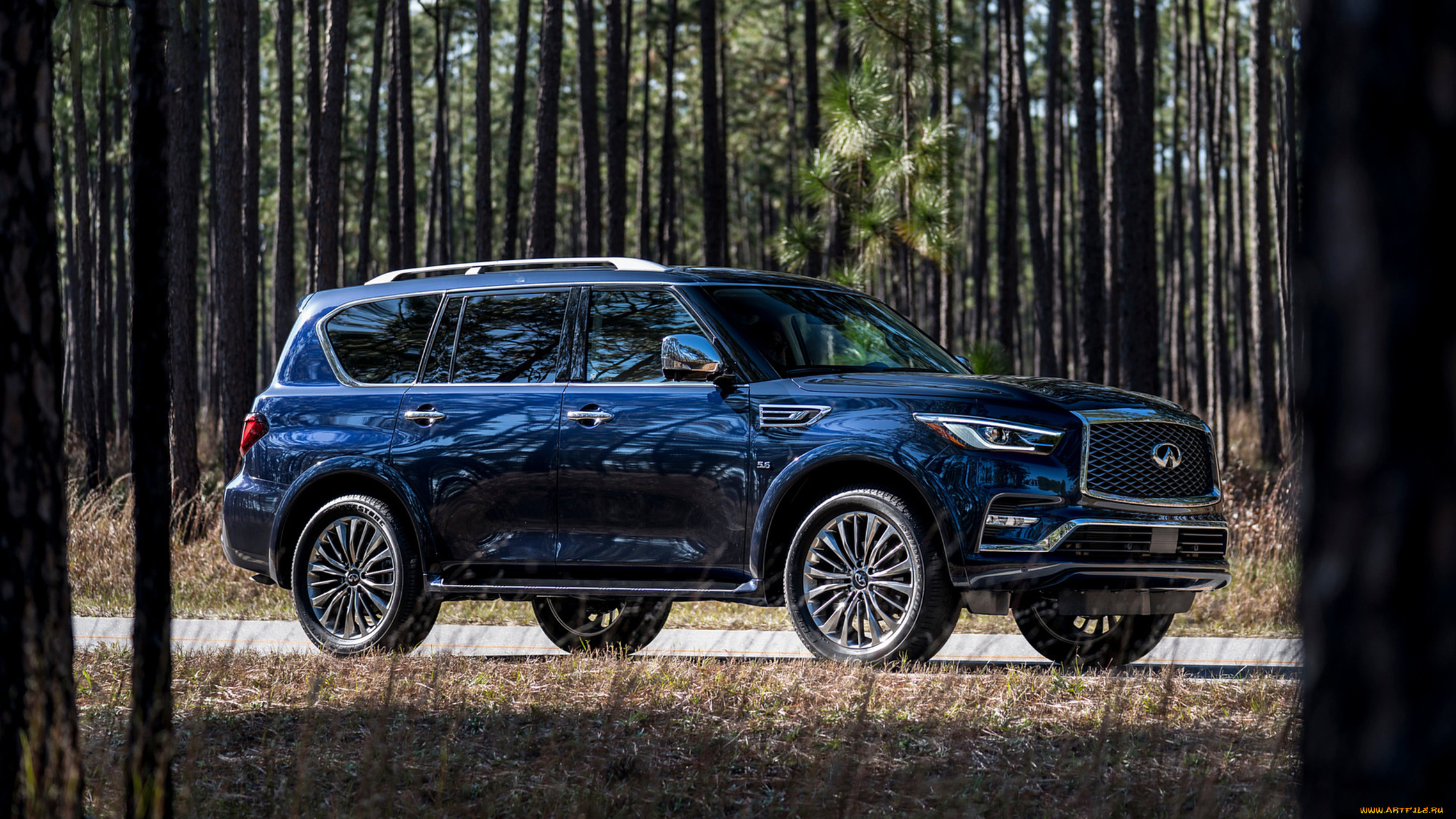 infiniti qx80 2018, , infiniti, hermosa, color, blue, 2018, qx80